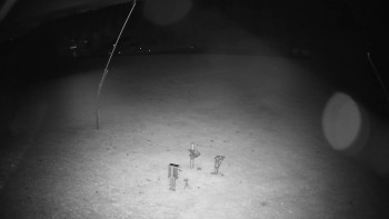 Snímek    26.10.2025 v 00:00