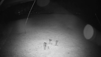 Snímek    26.10.2025 v 00:05