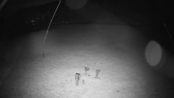 Snímek    26.10.2025 v 01:15