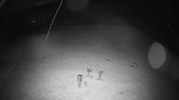 Snímek    26.10.2025 v 02:00
