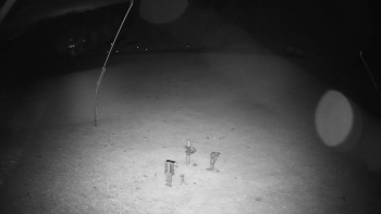 Snímek    26.10.2025 v 02:55