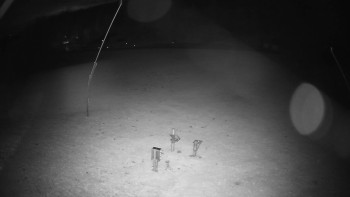 Snímek    26.10.2025 v 03:10