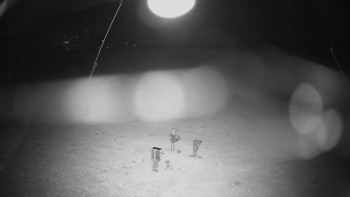 Snímek    27.10.2025 v 02:25