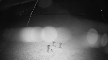 Snímek    27.10.2025 v 18:20