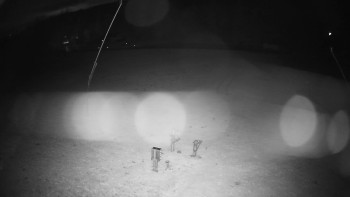 Snímek    27.10.2025 v 18:35