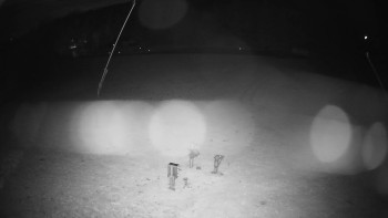 Snímek    27.10.2025 v 19:25