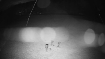 Snímek    27.10.2025 v 21:00