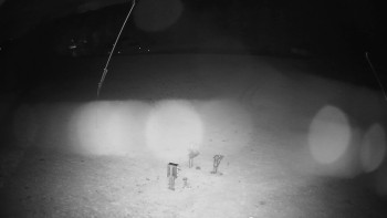 Snímek    27.10.2025 v 23:45