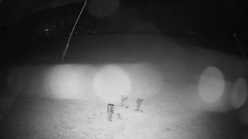 Snímek    27.10.2025 v 23:50