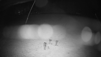 Snímek    28.10.2025 v 00:40