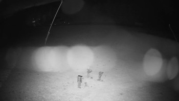 Snímek    28.10.2025 v 04:45