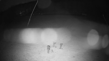 Snímek    28.10.2025 v 05:25