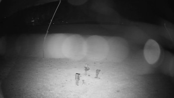 Snímek    28.10.2025 v 22:20