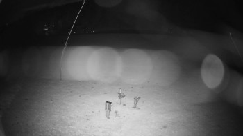 Snímek    28.10.2025 v 23:10