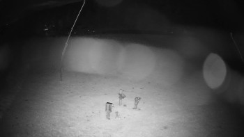 Snímek    29.10.2025 v 00:25