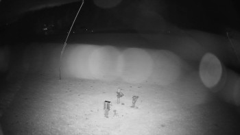 Snímek    29.10.2025 v 01:50