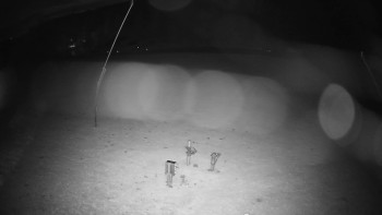 Snímek    29.10.2025 v 03:20