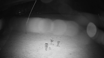 Snímek    29.10.2025 v 03:35