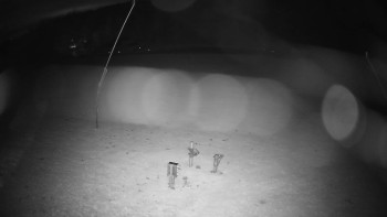 Snímek    29.10.2025 v 05:15