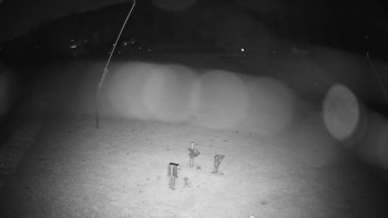 Snímek    29.10.2025 v 17:55