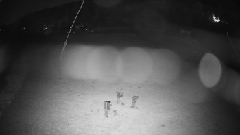 Snímek    29.10.2025 v 18:15