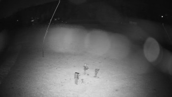 Snímek    29.10.2025 v 18:45