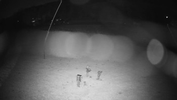 Snímek    29.10.2025 v 19:15