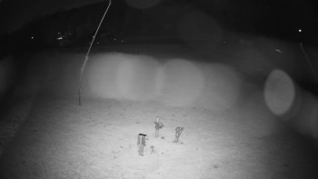 Snímek    29.10.2025 v 19:35