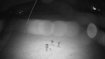 Snímek    29.10.2025 v 19:55