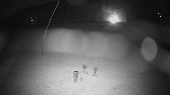 Snímek    29.10.2025 v 20:15