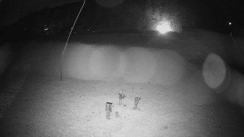 Snímek    29.10.2025 v 20:40