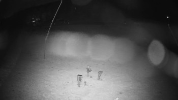 Snímek    29.10.2025 v 21:45