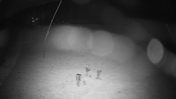 Snímek    29.10.2025 v 22:15