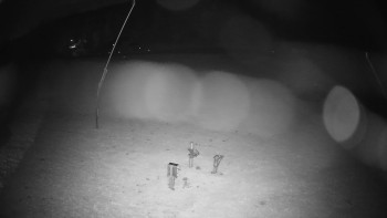 Snímek    29.10.2025 v 22:35