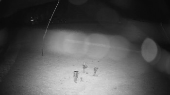 Snímek    29.10.2025 v 22:40