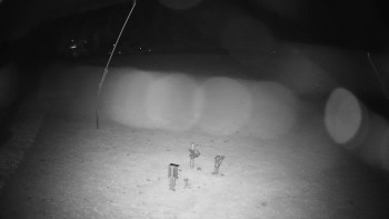 Snímek    29.10.2025 v 23:20