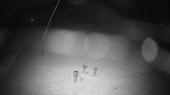 Snímek    30.10.2025 v 00:00