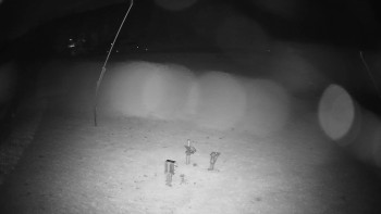 Snímek    30.10.2025 v 01:25