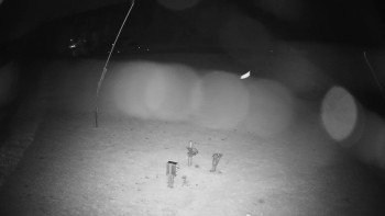 Snímek    30.10.2025 v 02:35