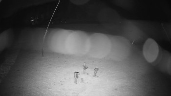 Snímek    30.10.2025 v 03:30