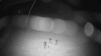 Snímek    30.10.2025 v 03:50