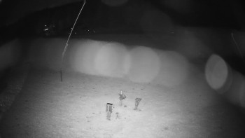 Snímek    30.10.2025 v 04:00