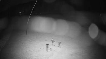 Snímek    30.10.2025 v 05:15