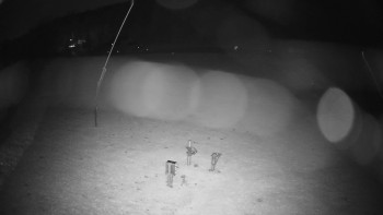 Snímek    30.10.2025 v 05:25