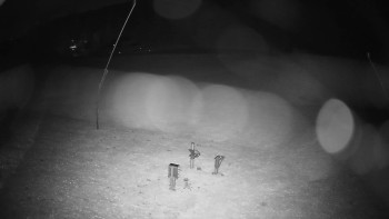 Snímek    31.10.2025 v 01:30