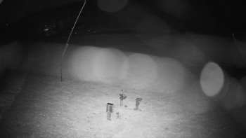 Snímek    31.10.2025 v 03:50