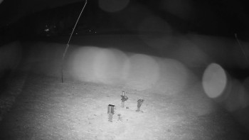 Snímek    31.10.2025 v 04:40