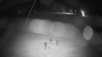 Snímek    31.10.2025 v 23:05