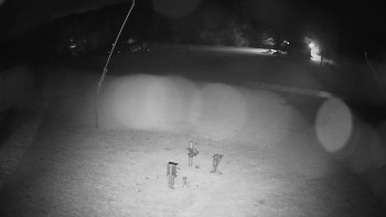 Snímek    1.11.2025 v 00:10