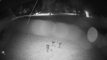 Snímek    1.11.2025 v 00:50